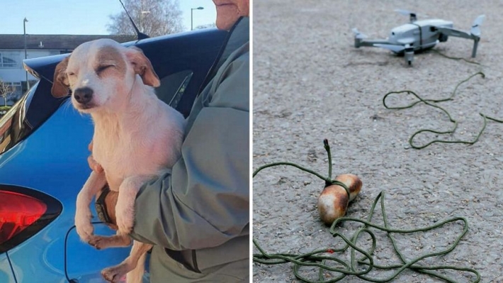 Спасатели прикрепили сосиску к дрону, чтобы спасти жизнь собаки - сработало безотказно