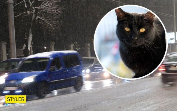В Днепре из-за черной кошки произошла авария: момент попал на видео