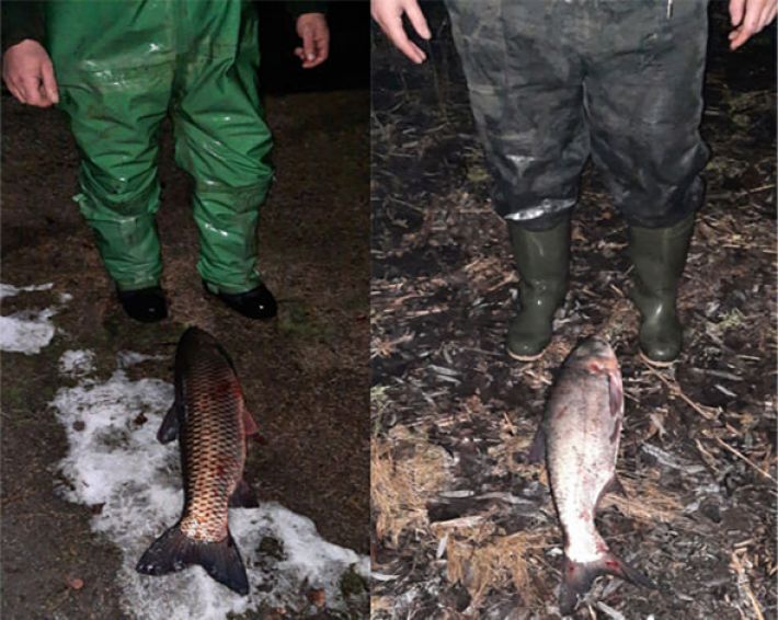 В Запорожской области задержали браконьера-рецидивиста (фото)