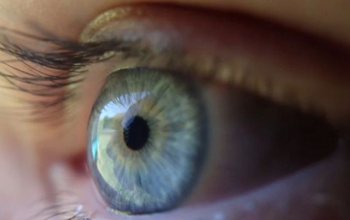 Эти "копеечные" продукты могут предотвратить проблемы со зрением