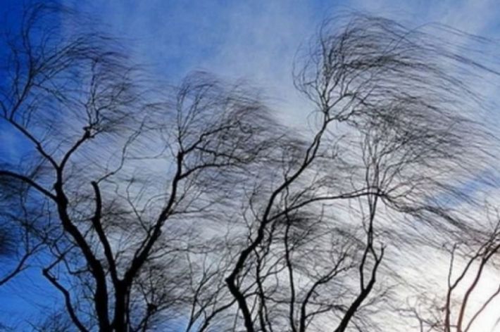 Штормовое предупреждение - в Запорожской области ожидается усиление ветра