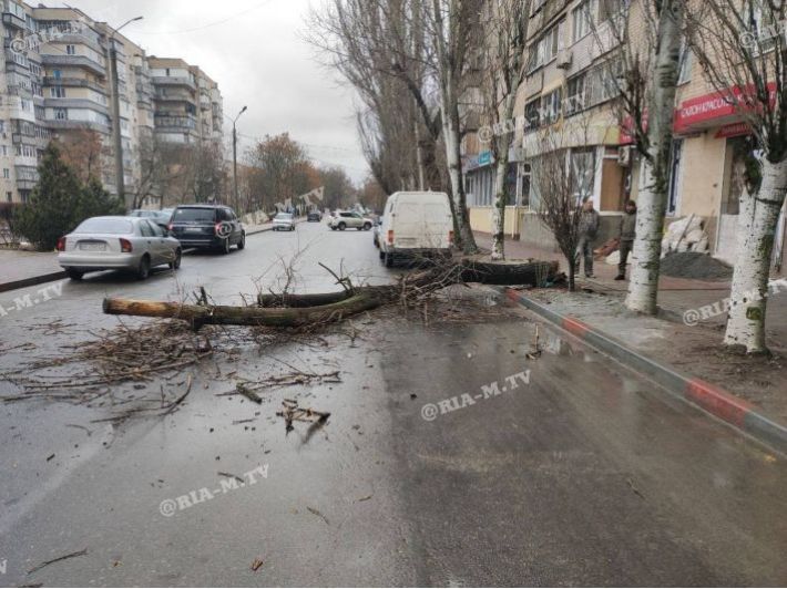 Мэр Мелитополя отреагировал на критику горожан по поводу массовой вырубки деревьев
