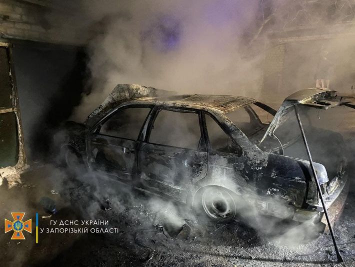 В Запорожской области на ходу загорелась иномарка (фото)