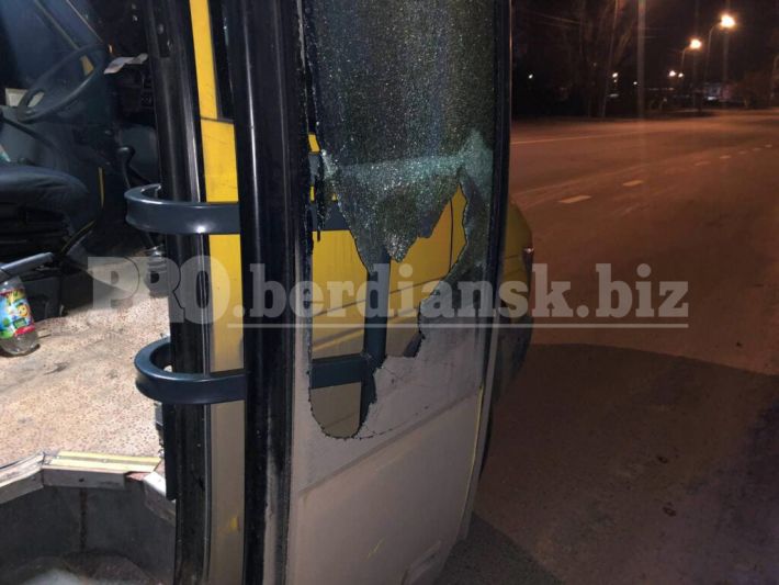 В Запорожской области пассажир в маршрутке упал и разбил головой стекло (ФОТО)