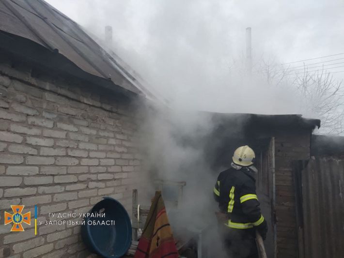 В Запорожье семь спасателей тушили крышу частного дома (фото)