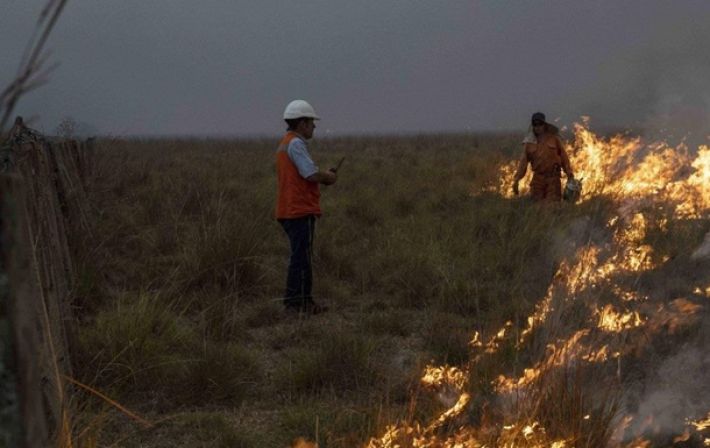 В Аргентине пылают мощнейшие лесные пожары (видео)