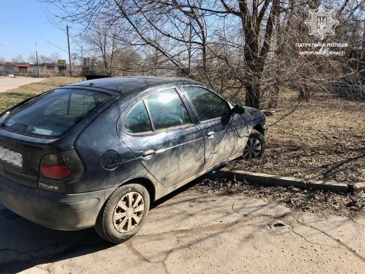 В Запорожье пьяный водитель, убегая от полиции, врезался в дерево