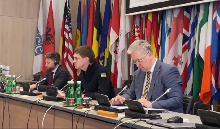 Украине нужна поддержка мира – мэр Мелитополя на заседании ОБСЕ (видео)