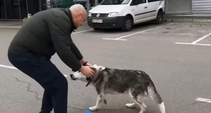 Маленькая радость среди сплошного ужаса в Буче: потерявшийся пес вернулся к хозяину (Видео)