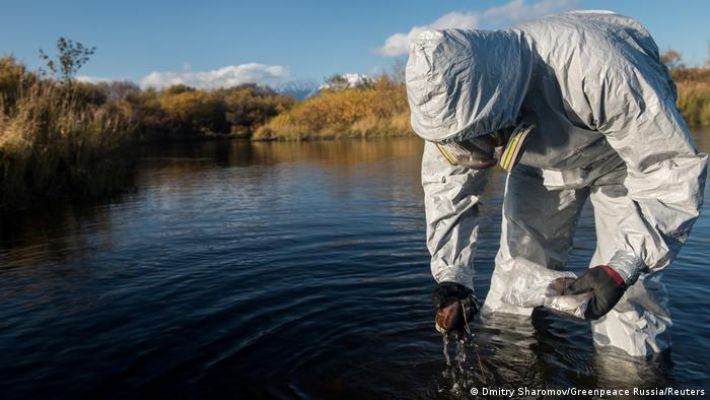 Экологи из РФ просят Минюст признать Greenpeace и WWF "иноагентами"