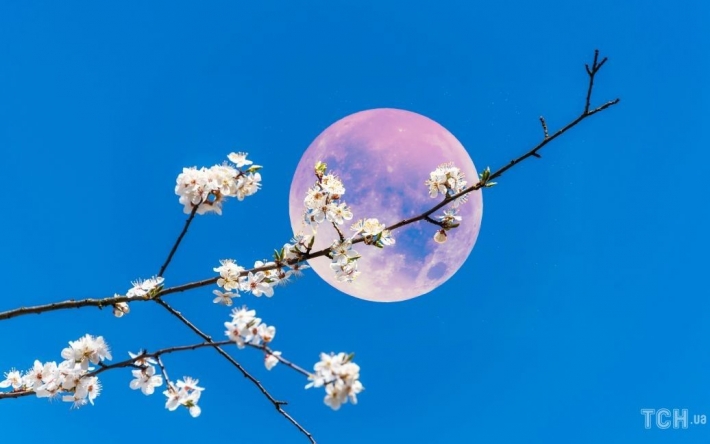 Гороскоп на 14 апреля для всех знаков Зодиака: один из самых счастливых дней лунного месяца
