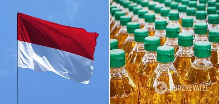 Крупнейший в мире производитель пальмового масла запретил экспорт продукции: известна причина
