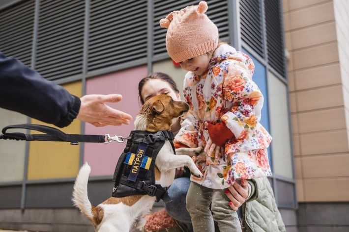 Даже если ты маленький - не сдавайся: пес Патрон встретился с пациентами детской больницы