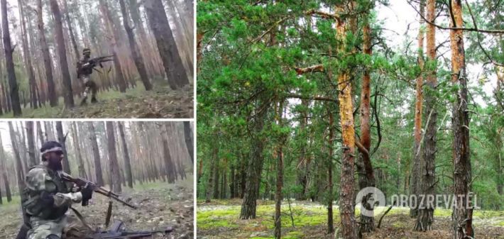 Кадыровские тиктокеры сняли на видео "захват Украины", расстреливая деревья в лесу