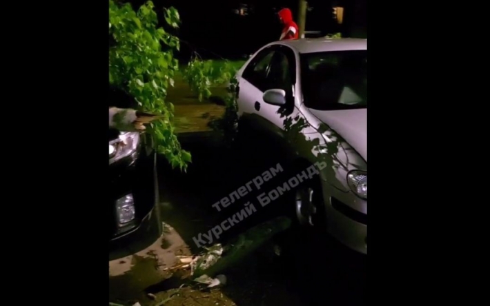 Ураган в Курске срывал крыши и выкорчевывал деревья: видео