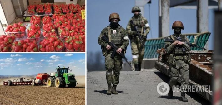 Бесплатная вода и дорогие овощи: как в Крыму наживаются на награбленном в Украине