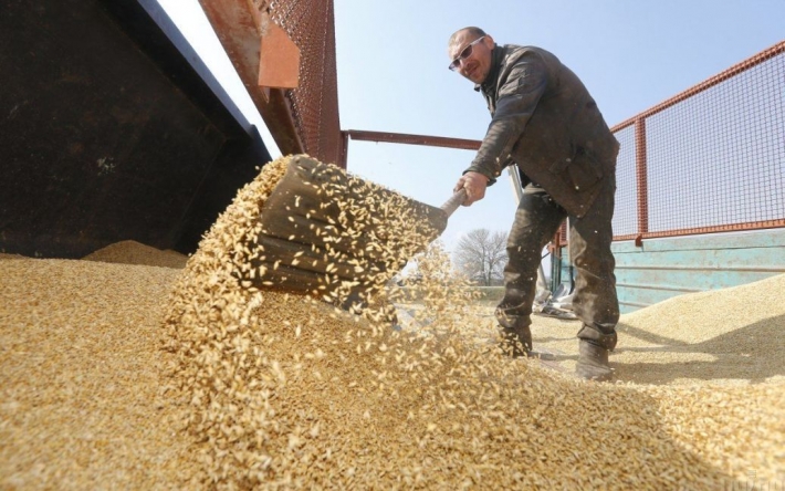 США и ЕС разрабатывают план вывоза украинского зерна