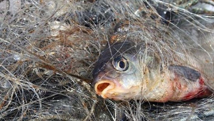 В Запорожской области поймали двух рыбаков-браконьеров