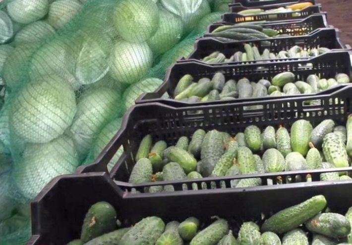 В Мелитополе продают самые дешевые овощи в  (фото) - ria-m.tv