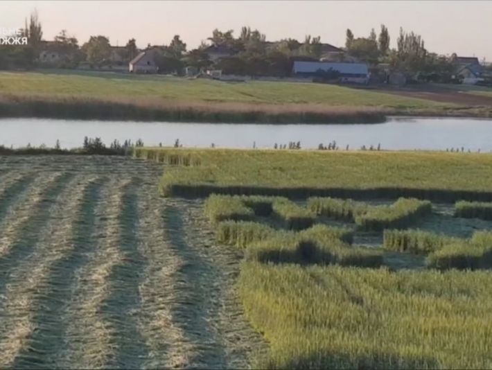 В Запорожской области мужчина "написал" семиметровую фразу о путине (видео)