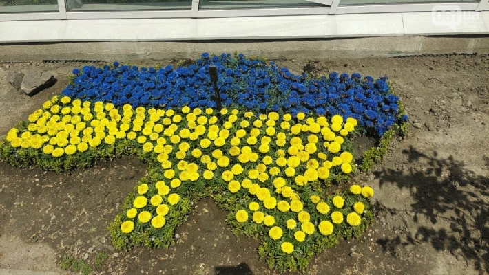 В Запорожском ботаническом саду создали цветочную карту Украины