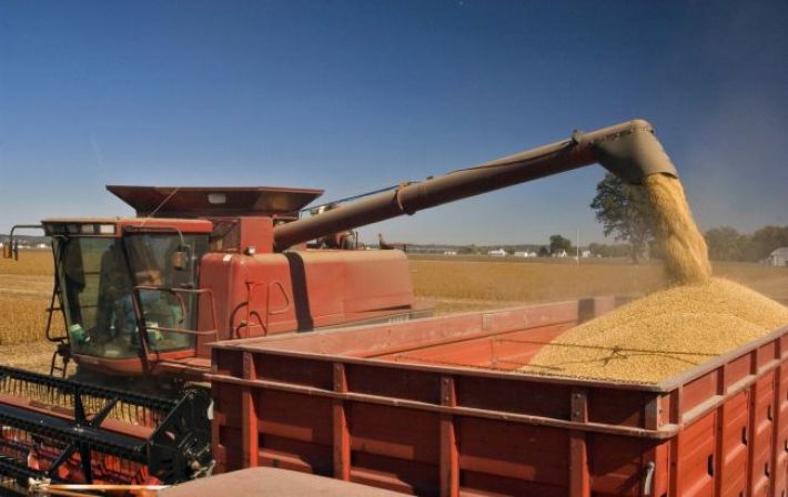 Турция намерена покупать у Украины зерно со скидкой более чем в 25%