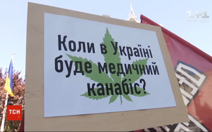 В Украине легализуют медицинский каннабис: Ляшко рассказал подробности