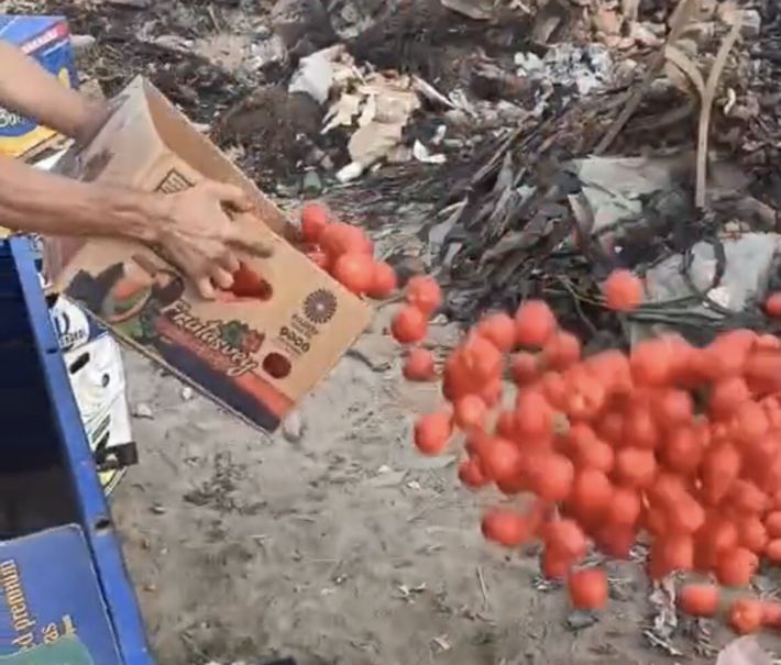 Продуктовая блокада - в Васильевке на блокпосту продолжают выкидывать тонны овощей (видео)