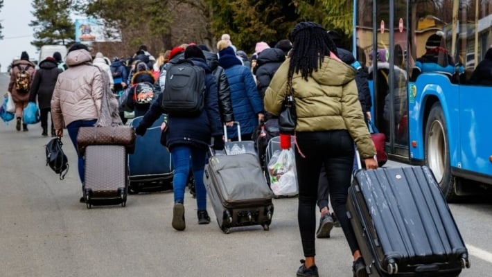 В Польше рассказали, сколько украинских беженцев трудоустроились