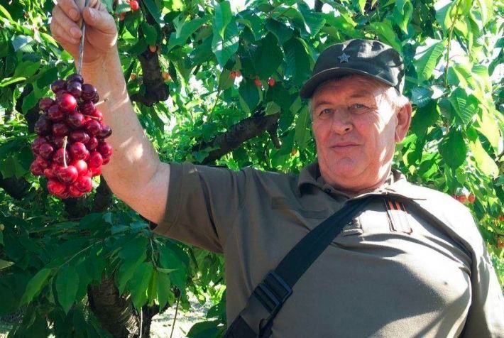 Фермеры Мелитополя подсунули рашистам отравленную черешню (видео)