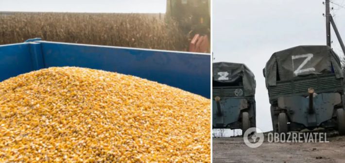 РФ продолжает воровать украинское зерно: спутник засек новые колонны грузовиков