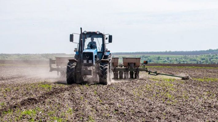 Посевной озимых не будет - мелитопольские фермеры терпят колоссальные убытки