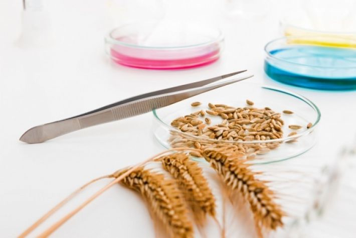 Великобритания будет выявлять украденное в Мелитополе зерно с помощью ДНК