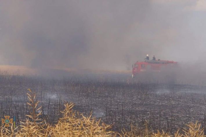 В Запорожской области спасатели и фермеры пять часов тушили пожар (фото)
