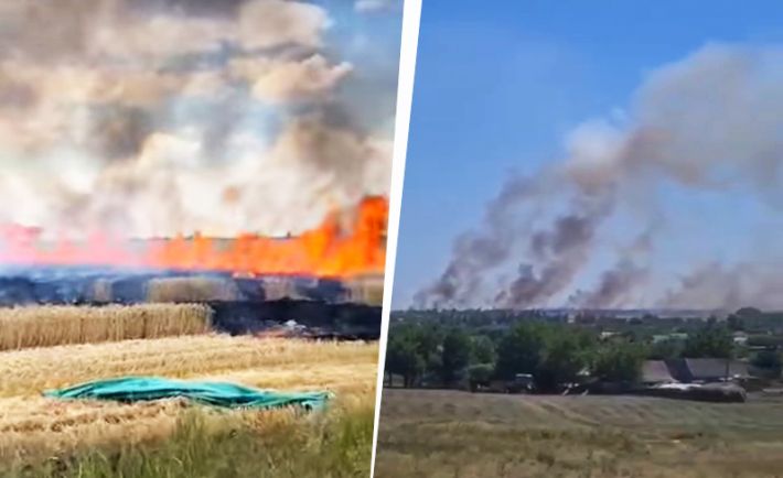 В Мелитопольском районе оккупанты сжигают поля пшеницы (видео)