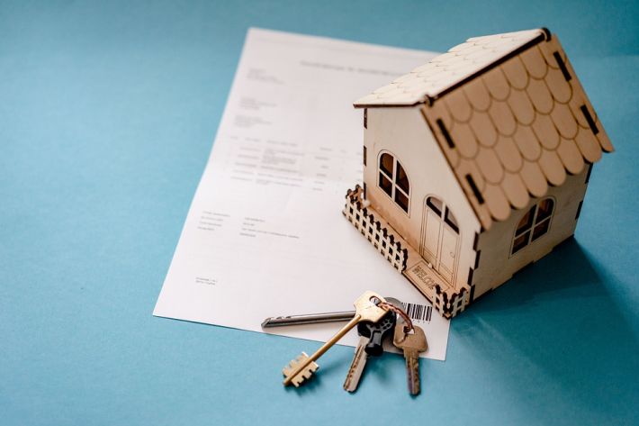 Стоит ли обращаться к специалисту при осуществлении сделки с недвижимостью