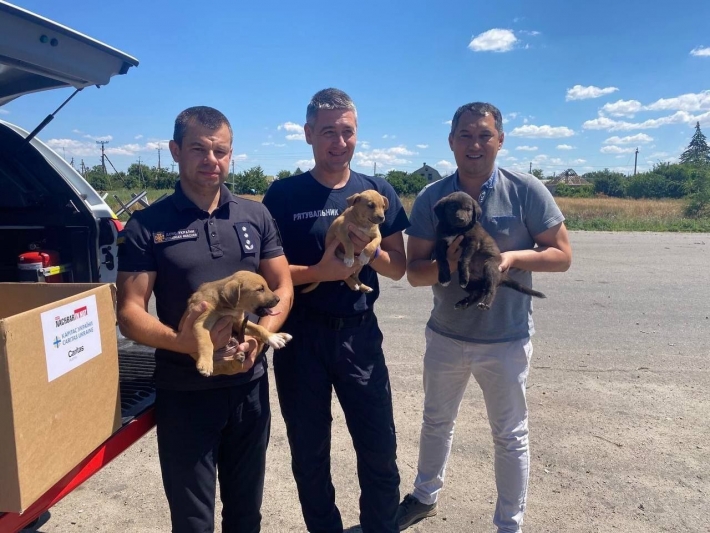 В Запорожской области ГСЧС и волонтёры спасли раненых от обстрела щенков