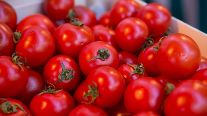 В Мелитополе цена на помидоры побила исторический минимум