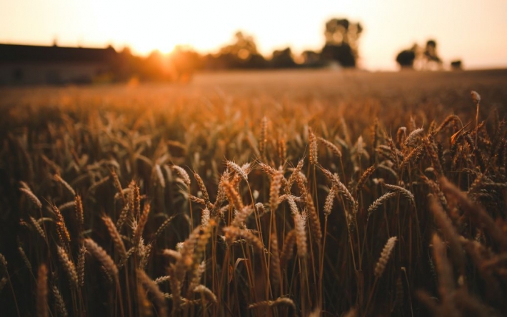 Україна, Туреччина та ООН підписали угоду щодо розблокування експорту зерна