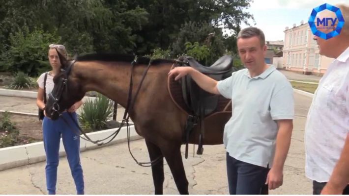 В Мелитополе коллаборант оседлал коня и открывает в общежитии бордель (фото)