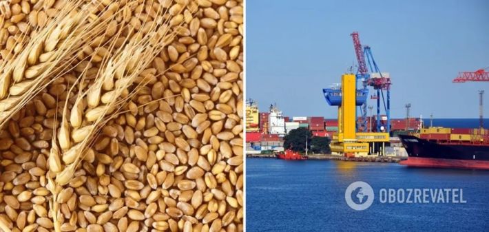 Єгипет розірвав з Україною контракти на постачання зерна – Reuters