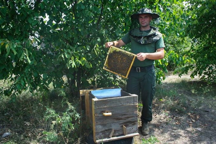 В Запорожье нацгвардеец обустроил пасеку и угощает побратимов медом