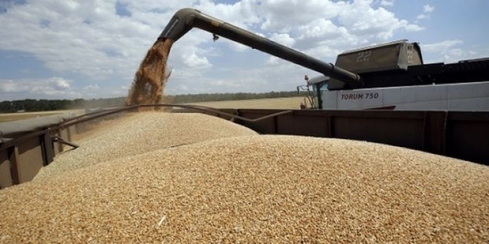 США выделят 68 млн долларов на закупку украинской пшеницы: кому она достанется