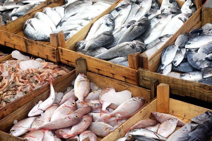 Сколько стоит на рынке в Мелитополе свежая рыба (фото)