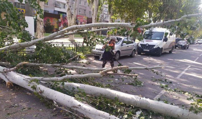 В центре Мелитополя на легковушку упал огромный тополь (фото)