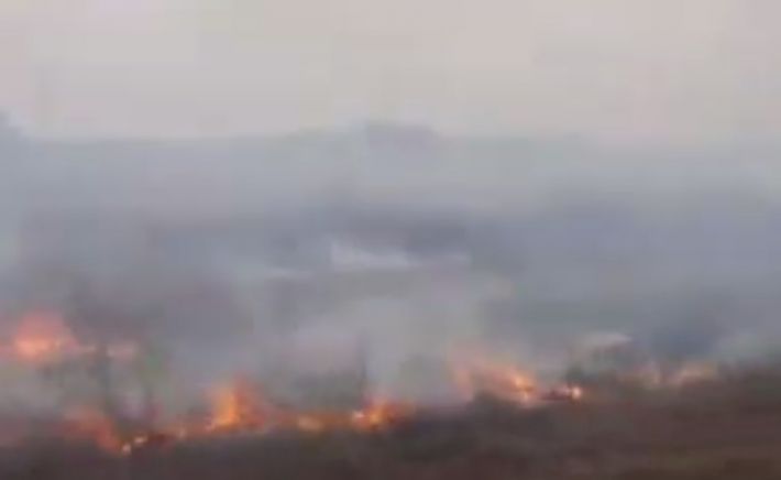 Кирилловка в огне - возле курортного поселка горят поля (видео)