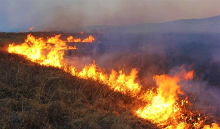 В Запорожской области после обстрелов горит национальный природный парк 