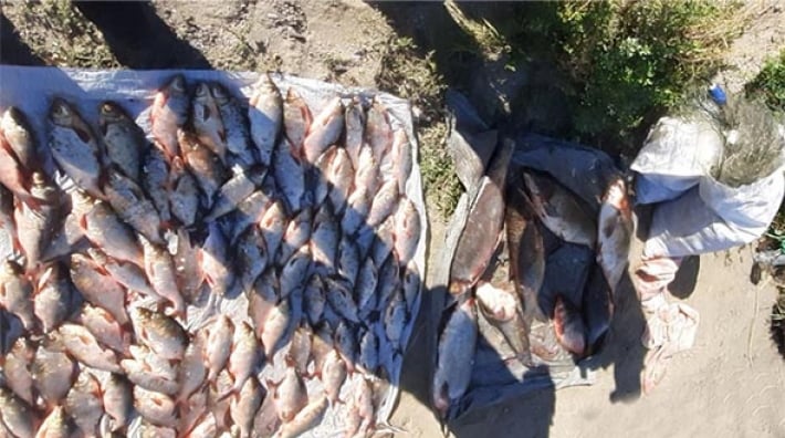 В Запорожской области зафиксированы новые случаи незаконной ловли рыбы