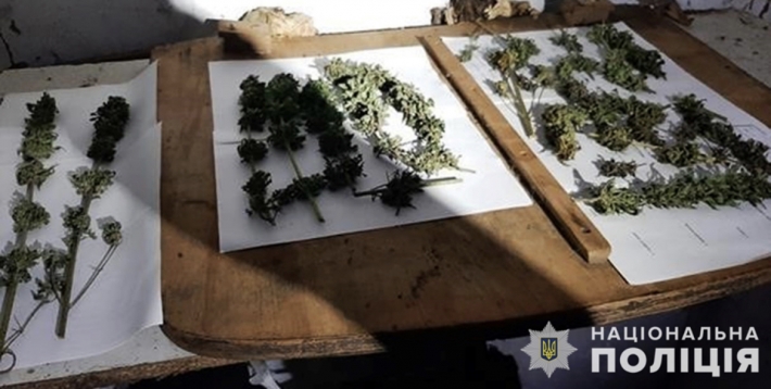У двух жителей Запорожья полицейские изъяли огнестрельное оружие, боеприпасы и наркотики