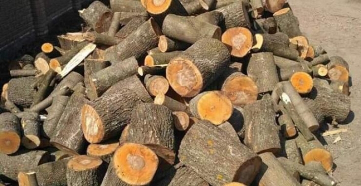 Фейковый продавец дров обманул жителя Запорожской области (фото)